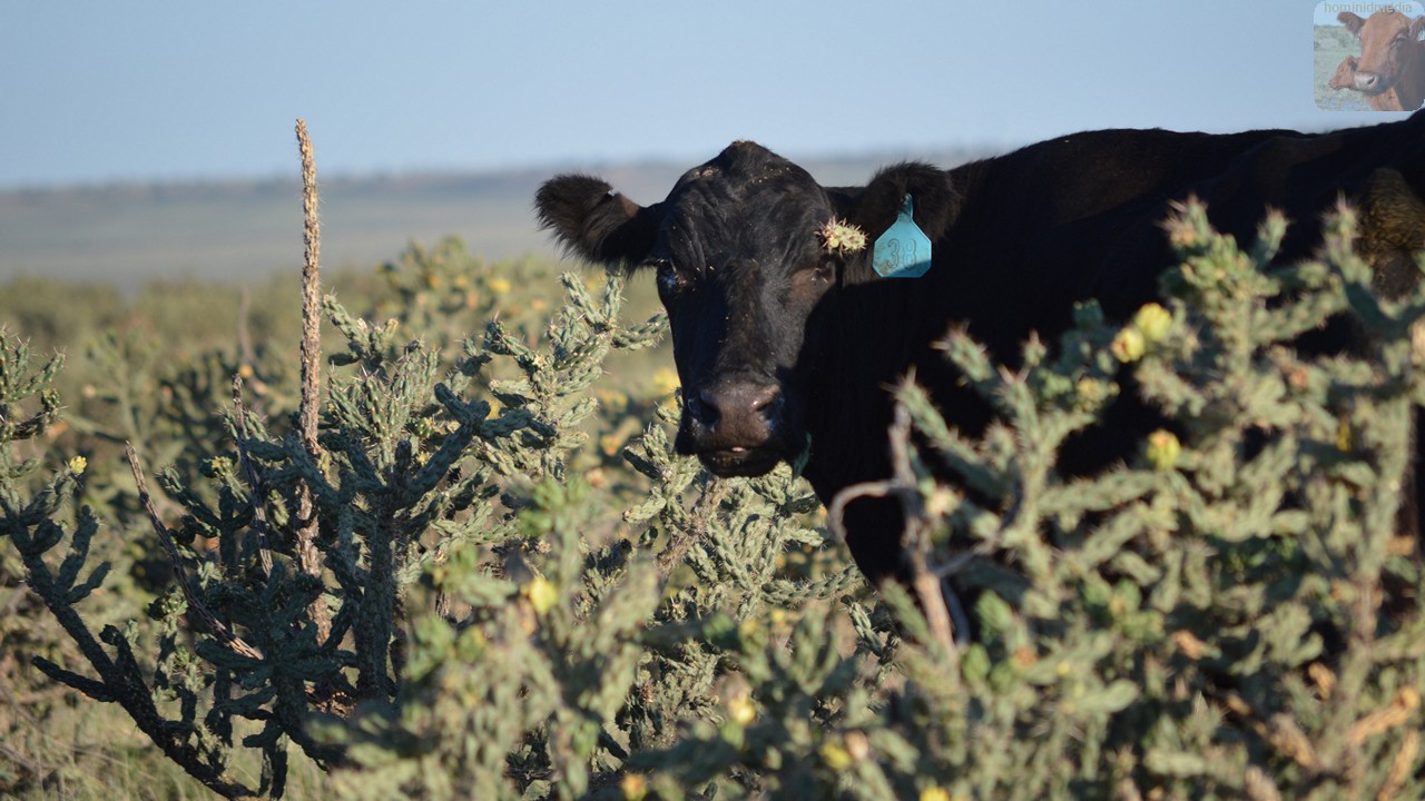 Don't Take It Too Bad