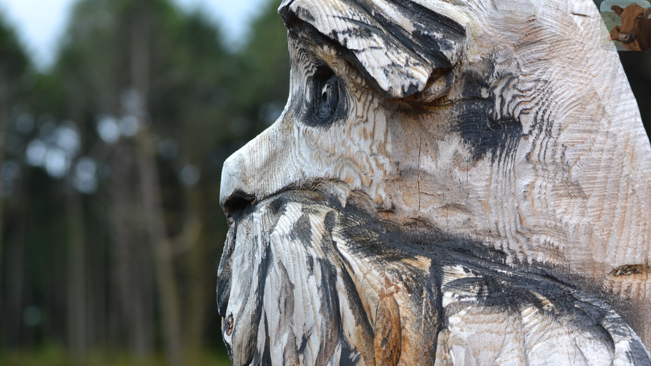 loraxolympicpeninsula