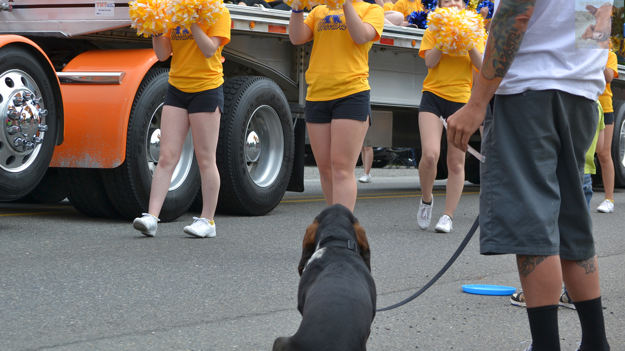 Running Water / Achilles