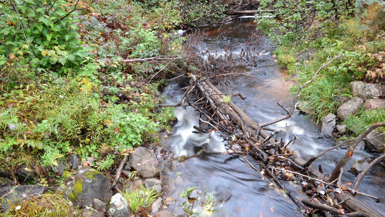 About Yoga 2: Only the Mountain